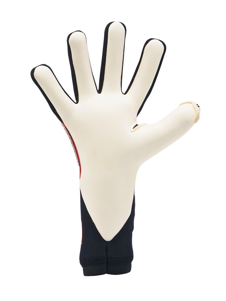 Imagen-Toride-Edicion-Limitada-3